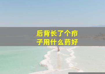 后背长了个疖子用什么药好