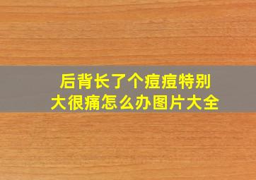 后背长了个痘痘特别大很痛怎么办图片大全