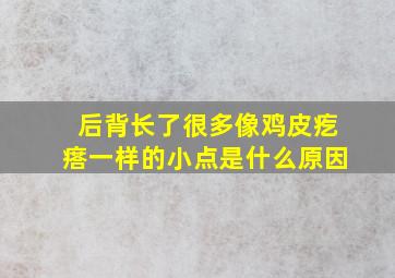 后背长了很多像鸡皮疙瘩一样的小点是什么原因