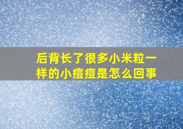 后背长了很多小米粒一样的小痘痘是怎么回事