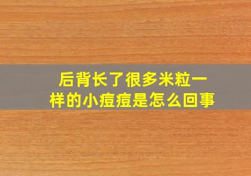 后背长了很多米粒一样的小痘痘是怎么回事