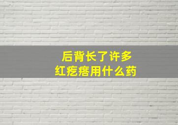 后背长了许多红疙瘩用什么药