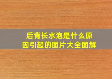 后背长水泡是什么原因引起的图片大全图解