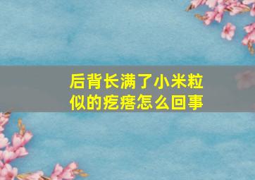 后背长满了小米粒似的疙瘩怎么回事