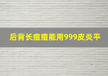 后背长痘痘能用999皮炎平