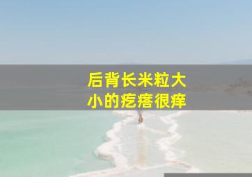 后背长米粒大小的疙瘩很痒