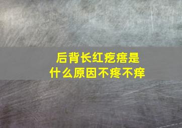 后背长红疙瘩是什么原因不疼不痒