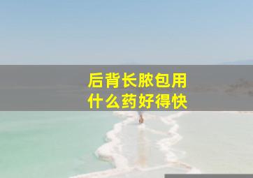 后背长脓包用什么药好得快