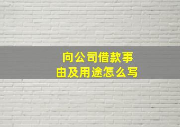 向公司借款事由及用途怎么写