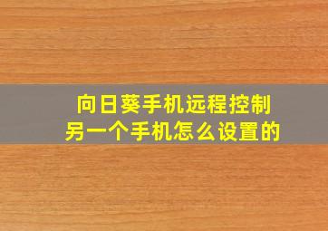 向日葵手机远程控制另一个手机怎么设置的