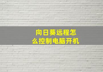 向日葵远程怎么控制电脑开机