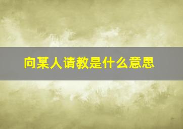 向某人请教是什么意思