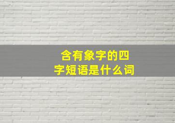 含有象字的四字短语是什么词