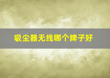 吸尘器无线哪个牌子好