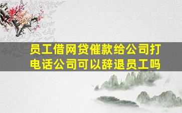 员工借网贷催款给公司打电话公司可以辞退员工吗