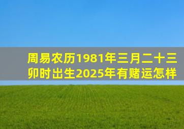 周易农历1981年三月二十三卯时岀生2025年有赌运怎样