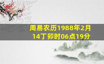 周易农历1988年2月14丁卯时06点19分