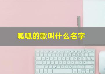 呱呱的歌叫什么名字