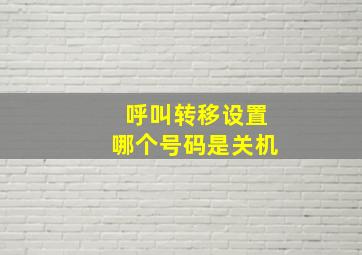 呼叫转移设置哪个号码是关机