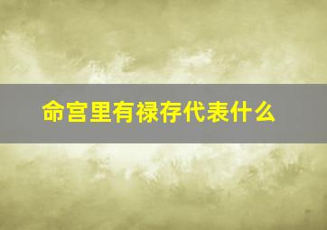 命宫里有禄存代表什么