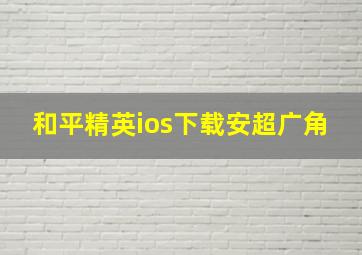 和平精英ios下载安超广角