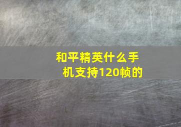 和平精英什么手机支持120帧的