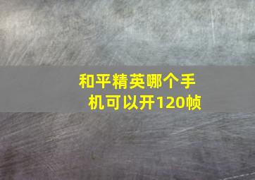 和平精英哪个手机可以开120帧