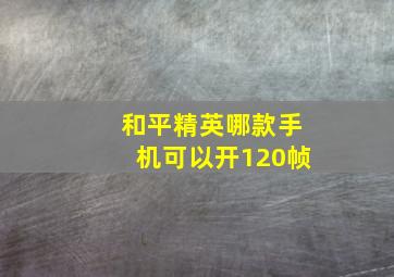 和平精英哪款手机可以开120帧