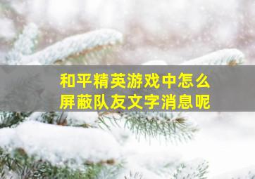 和平精英游戏中怎么屏蔽队友文字消息呢