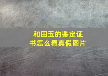 和田玉的鉴定证书怎么看真假图片