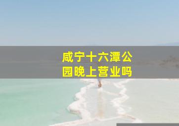 咸宁十六潭公园晚上营业吗