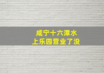 咸宁十六潭水上乐园营业了没