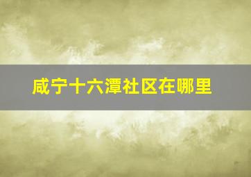 咸宁十六潭社区在哪里