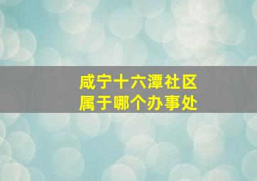 咸宁十六潭社区属于哪个办事处