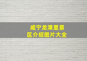 咸宁龙潭里景区介绍图片大全