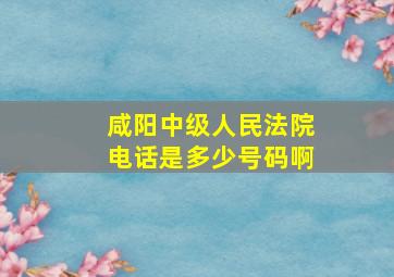 咸阳中级人民法院电话是多少号码啊