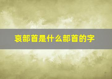 哀部首是什么部首的字