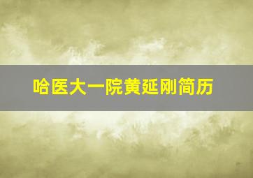 哈医大一院黄延刚简历