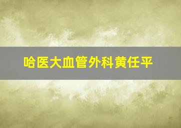 哈医大血管外科黄任平