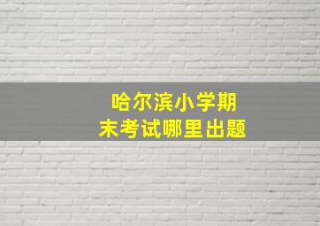 哈尔滨小学期末考试哪里出题