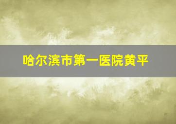 哈尔滨市第一医院黄平