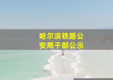 哈尔滨铁路公安局干部公示