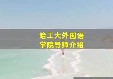 哈工大外国语学院导师介绍