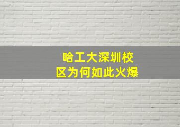 哈工大深圳校区为何如此火爆