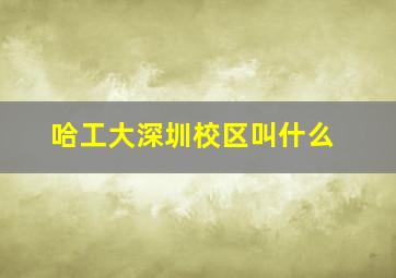 哈工大深圳校区叫什么