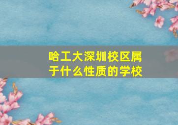 哈工大深圳校区属于什么性质的学校