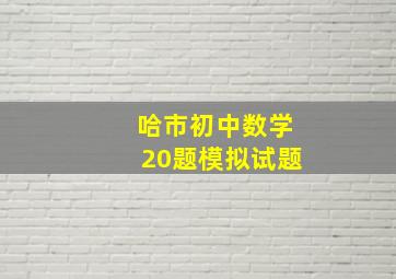 哈市初中数学20题模拟试题