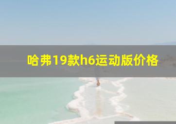 哈弗19款h6运动版价格