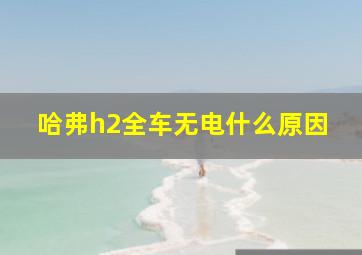 哈弗h2全车无电什么原因