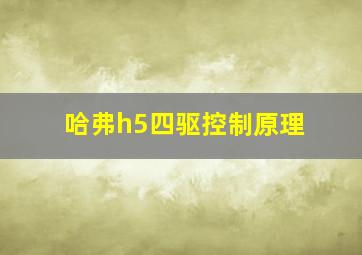 哈弗h5四驱控制原理